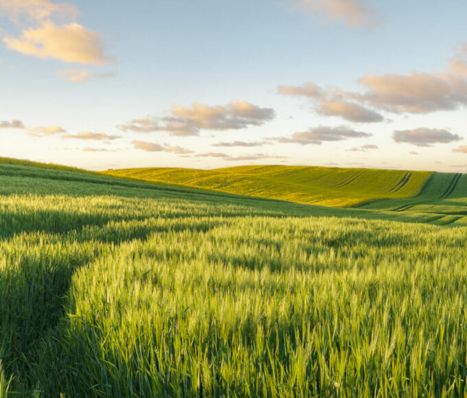 actifs naturels - easy4green