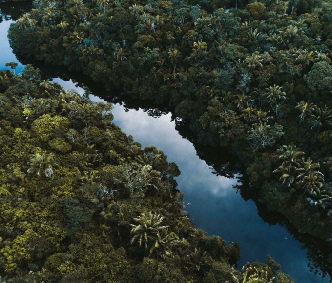 ecologia - easy4green