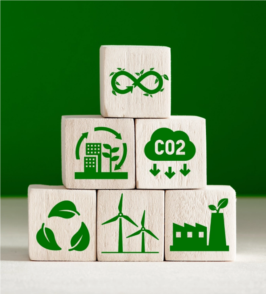 e4g img4 - easy4green