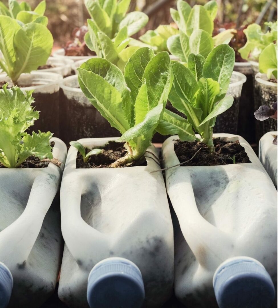 e4g img5 - easy4green