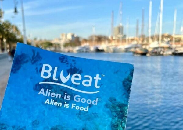 Copertina e1706709028478 - easy4green