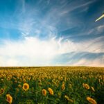 Cosa aspettarsi dal 2024: scopriamo i Trend in chiave sostenibilità - easy4green copertina 2 1 scaled e1706199680311 - easy4green
