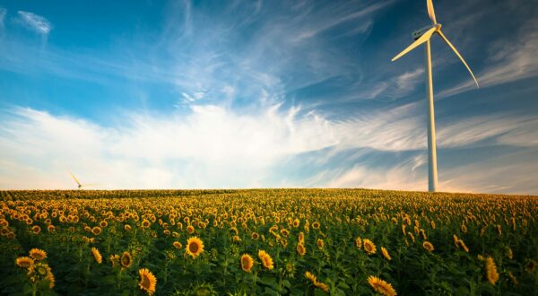 copertina 2 1 scaled e1706199680311 - easy4green