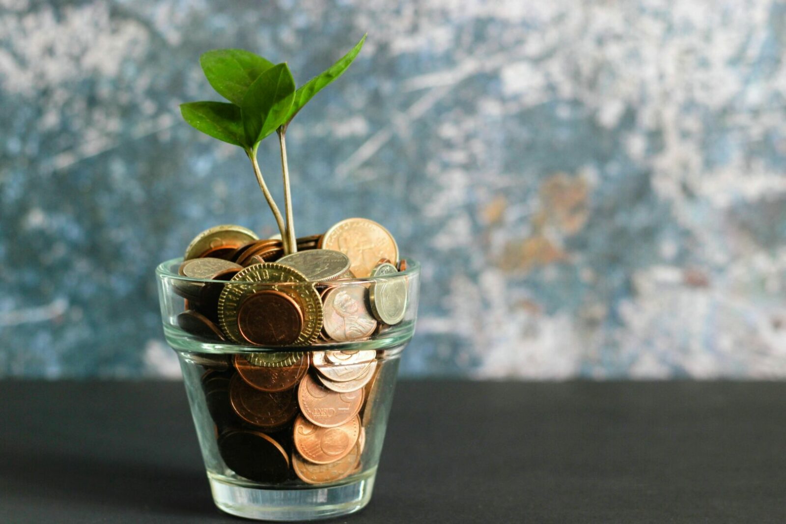 Finanza sostenibile: come può contribuire a creare un mondo più "green" - easy4green copertina 4 - easy4green