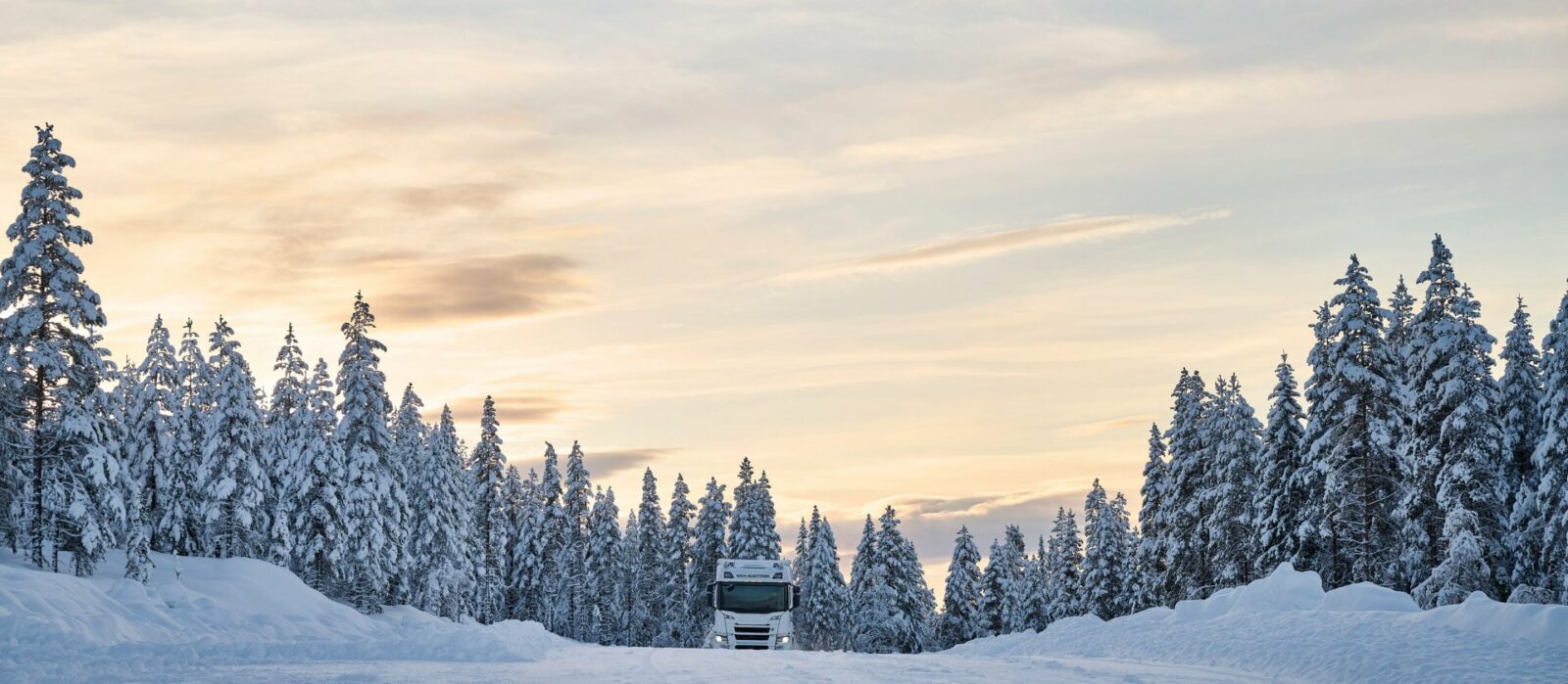 1705496667079 - easy4green