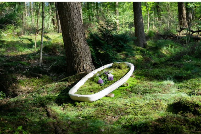 Eco-Sepoltura: Ridurre l'impronta ambientale anche dopo la morte? Con Loop Biotech è possibile - easy4green eco-sepoltura | easy4green