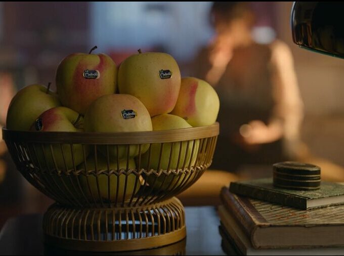 Copertina 2 - easy4green