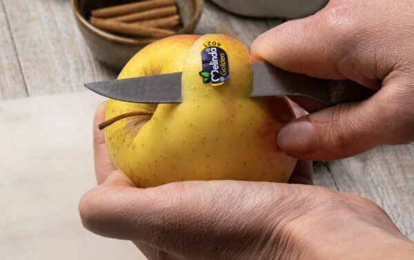 Snapinsta.app 339711359 768599184839195 4623324516049336280 n 1080 e1714985739341 - easy4green