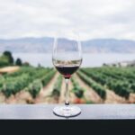 Può la sostenibilità aiutarci a valorizzare un’eccellenza Made in Italy come quella del vino? - easy4green copertina 1 - easy4green