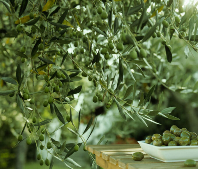 copertina - easy4green