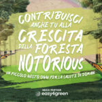 Notorious Forest: un progetto green di Notorious Cinemas e Treedom per un futuro sostenibile - easy4green TREEDOM 1960x650 - easy4green
