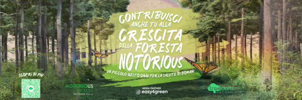 TREEDOM 1960x650 - easy4green