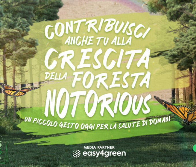 TREEDOM 1960x650 - easy4green