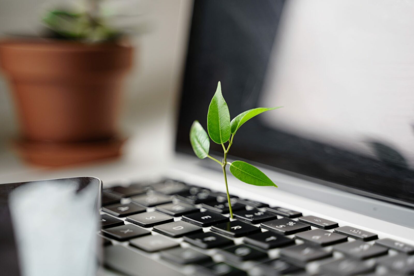 Green Jobs: professioni verdi per un futuro amico del pianeta - easy4green Green Jobs: professioni verdi per un futuro amico del pianeta | Easy4Green