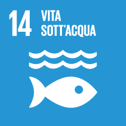 L'Agenda 2030 in pillole: Una promessa globale per lo sviluppo equo e sostenibile - easy4green Obiettivo 14 Agenda 2030 - La vita sott'acqua | easy4green