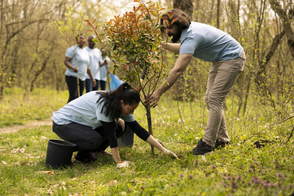 Parco Regionale Campo Dei Fiori: il progetto sostenibile che tutela la cultura e la biodiversità - easy4green Progetto di riqualificazione campo dei fiori - Easy4Green