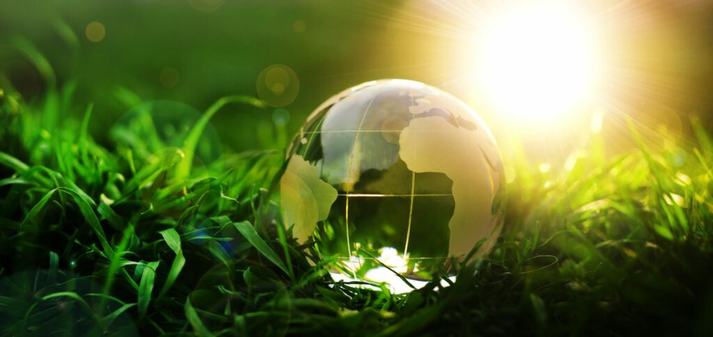 Bilancio di sostenibilità e comunicazione efficace: come raccontare il valore della tua azienda - easy4green Bilancio di sostenibilità e comunicazione efficace, come raccontare il valore della tua azienda tranparency - easy4green