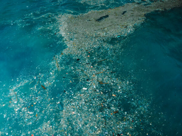 Isole di Plastica Come le Nostre Abitudini Stanno Cambiando i Mari - Easy4green