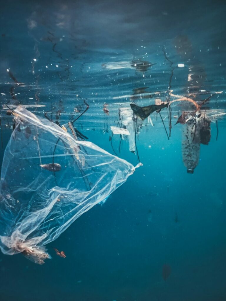 Isole di Plastica: Come le Nostre Abitudini Stanno Cambiando i Mari - easy4green Isole di plasica, come le nostre abitudini cambiano i mari - Easy4green