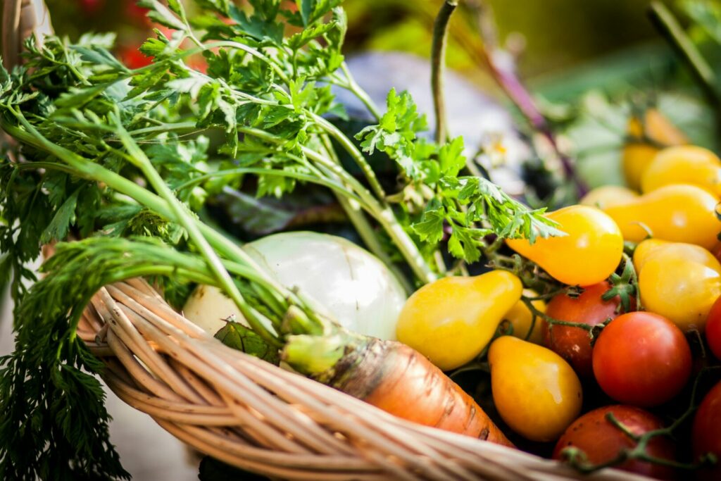 Obiettivo 3 Agenda 2030: salute e benessere per lo Sviluppo Sostenibile - easy4green Obiettivo 3 Agenda 2030 - Alimentazione sostenibile | easy4green