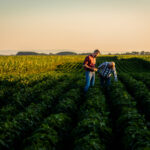 Agricoltura rigenerativa: coltivare la terra guardando al futuro - easy4green Agricoltura rigenerativa, coltivare la terra guardando al futuro - Easy4green
