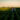 Agricoltura rigenerativa, coltivare la terra guardando al futuro - Easy4green