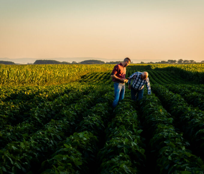 Agricoltura rigenerativa: coltivare la terra guardando al futuro - easy4green Agricoltura rigenerativa, coltivare la terra guardando al futuro - Easy4green