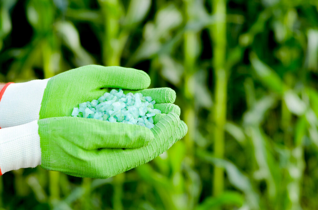 Agricoltura rigenerativa: coltivare la terra guardando al futuro - easy4green Agricoltura rigenerativa, coltivare la terra guardando al futuro, input chimici - Easy4green