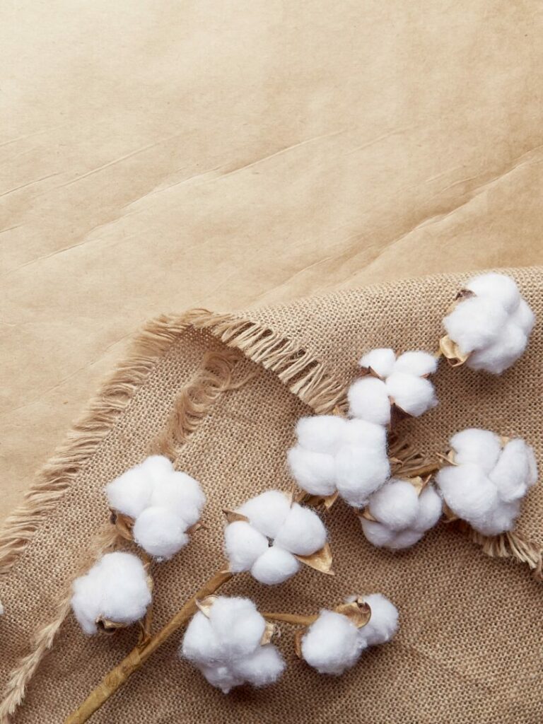 Verso un packaging sostenibile: l’evoluzione delle aziende e delle scelte dei consumatori - easy4green Verso un packaging sostenibile: l’evoluzione delle aziende e delle scelte dei consumatori - Easy4green