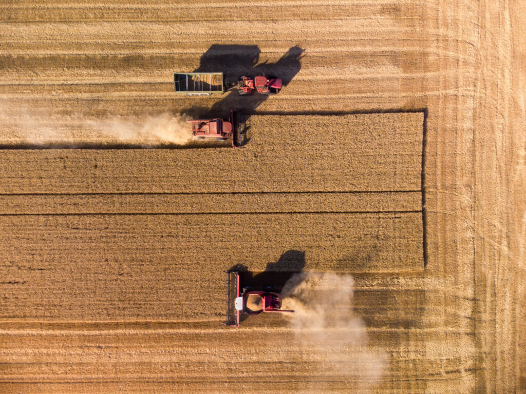 Agricoltura rigenerativa: coltivare la terra guardando al futuro - easy4green Agricoltura rigenerativa, coltivare la terra guardando al futuro italia - Easy4green