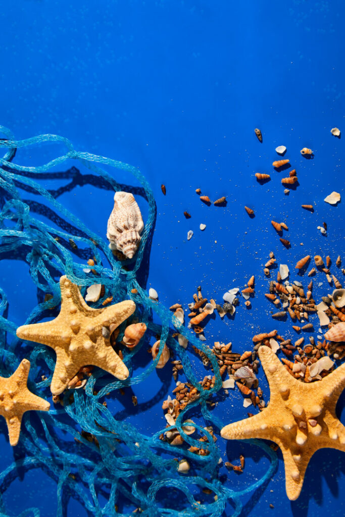 Blue economy: innovazione e tutela degli ecosistemi marini - easy4green Blue economy innovazione e tutela degli ecosistemi marini obiettivo - Easy4green