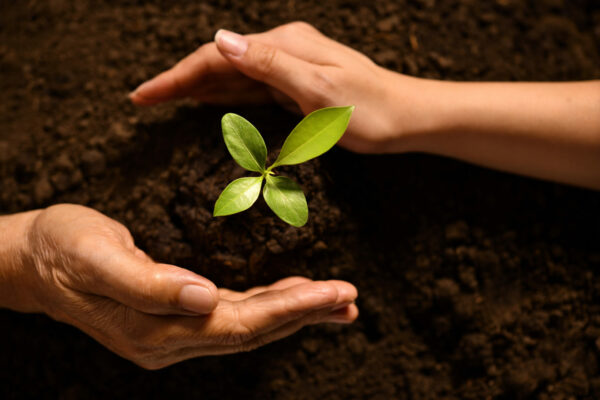 Consorzio Italiano Compostatori: dove la sostenibilità nasce dal suolo - easy4green