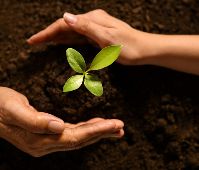 Consorzio Italiano Compostatori: dove la sostenibilità nasce dal suolo - easy4green