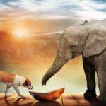 Reintegration Economy- il modello di Almo Nature per la conservazione della biodiversità - easy4green.jpg