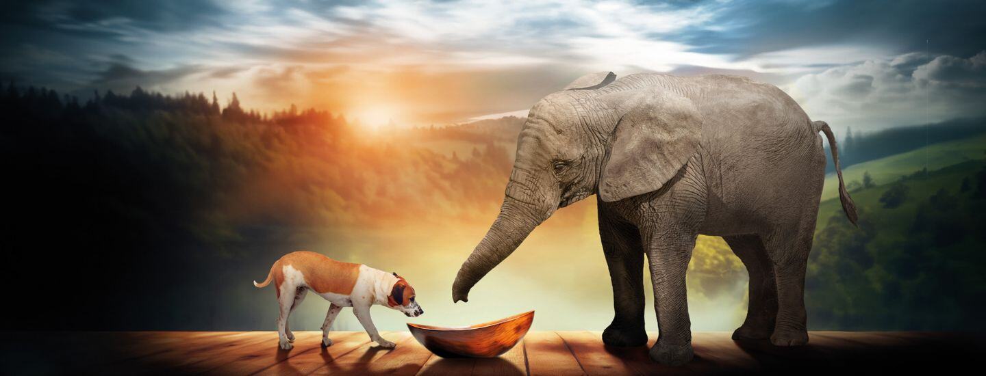 Reintegration Economy- il modello di Almo Nature per la conservazione della biodiversità - easy4green.jpg