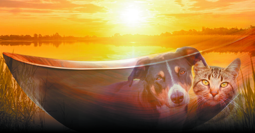 Reintegration Economy: il modello di Almo Nature per la conservazione della biodiversità - easy4green Reintegration Economy- il modello di Almo Nature per la conservazione della biodiversità - easy4green