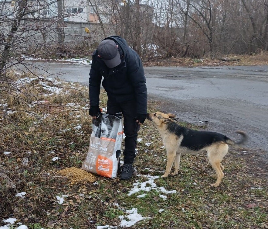 Reintegration Economy: il modello di Almo Nature per la conservazione della biodiversità - easy4green Reintegration Economy- il modello di Almo Nature per la conservazione della biodiversità - easy4green.jpg