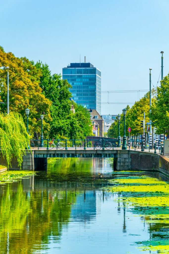Obiettivo 9 Agenda 2030: innovazione, infrastrutture e imprese sostenibili - easy4green Obiettivo 9 Agenda 2030_città sostenibili